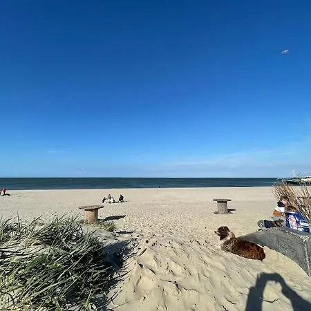 Familiehuis Dacha Op De Slufterweg * De Cocksdorp (Texel)