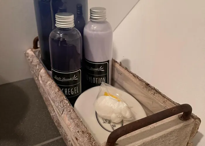 Familiehuis Dacha Op De Slufterweg De Cocksdorp (Texel)